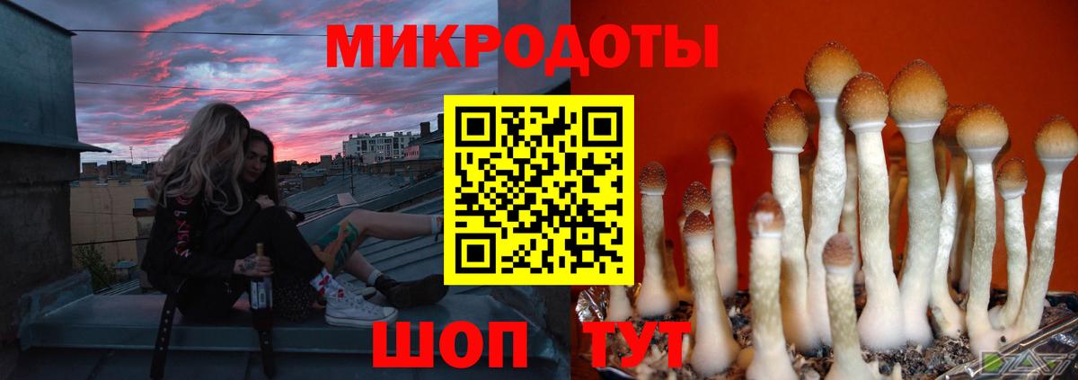 дарнет шоп  Псилоцибиновые грибы ЛСД  Вход с VPN  Орехово-Зуево 